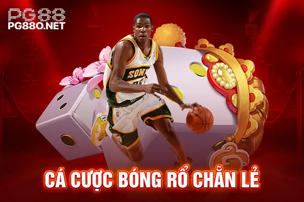 Cá cược bóng rổ chẵn lẻ Cá cược bóng rổ chẵn lẻ