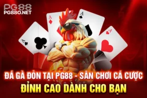 Đá Gà Đòn Tại PG88 - Sân Chơi Cá Cược Đỉnh Cao Dành Cho Bạn 