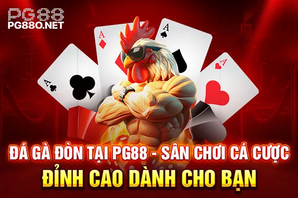 Đá Gà Đòn Tại PG88 - Sân Chơi Cá Cược Đỉnh Cao Dành Cho Bạn 