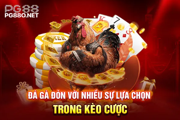 Đá gà đòn với nhiều sự lựa chọn trong kèo cược Đá gà đòn với nhiều sự lựa chọn trong kèo cược