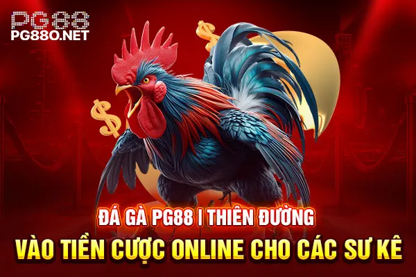 Đá Gà PG88 Thiên Đường Vào Tiền Cược Online Cho Các Sư Kê Đá Gà PG88 Thiên Đường Vào Tiền Cược Online Cho Các Sư Kê
