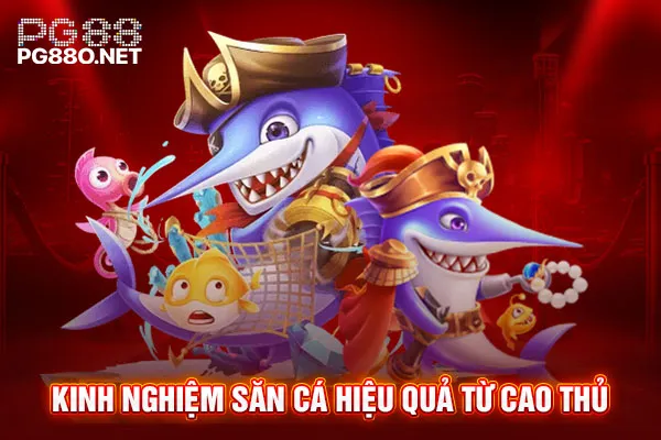 Kinh nghiệm săn cá hiệu quả từ cao thủ Kinh nghiệm săn cá hiệu quả từ cao thủ