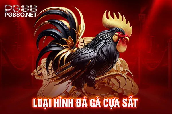 Loại hình đá gà cựa sắt Loại hình đá gà cựa sắt