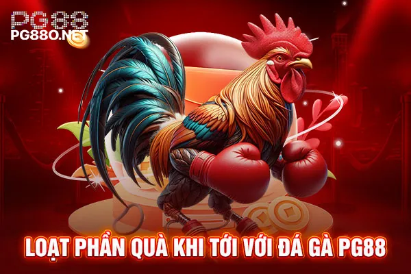 Loạt phần quà khi tới với đá gà PG88 Loạt phần quà khi tới với đá gà PG88