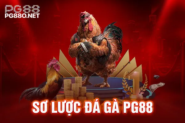 Sơ lược đá gà PG88 Sơ lược đá gà PG88