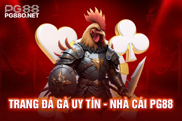 Trang đá gà uy tín - Nhà cái PG88 Trang đá gà uy tín - Nhà cái PG88
