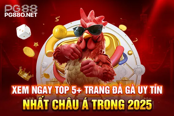 Xem Ngay Top 5+ Trang Đá Gà Uy Tín Nhất Châu Á Trong 2025
