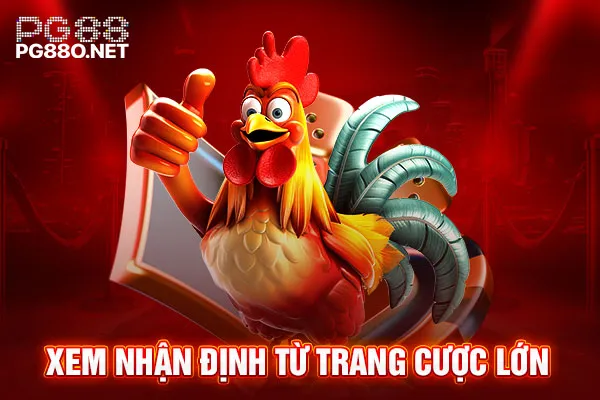 Xem nhận định từ trang cược lớn Xem nhận định từ trang cược lớn